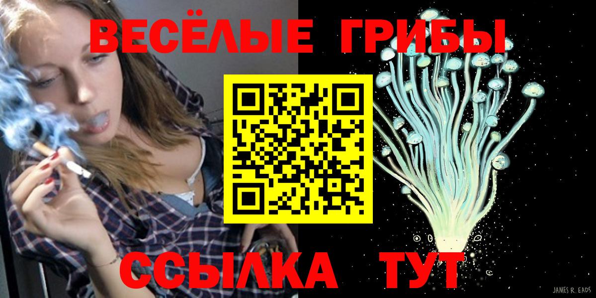 Белебей  Галлюциногенные грибы мухоморы  Галлюциногенные грибы Psilocybe  Вход с VPN 